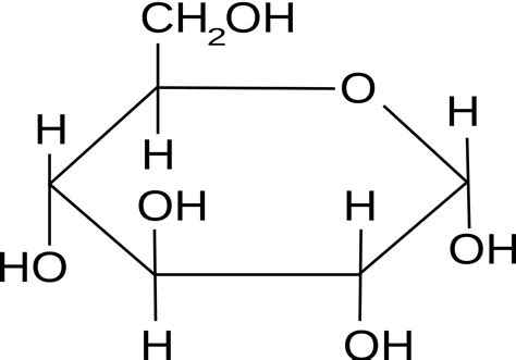 The 411 on Dexanhydrous Glucose in Workout Supplements