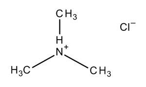 593 81-7 CAS | TRIMETHYLAMINE HYDROCHLORIDE | Amines & Amine Salts ...