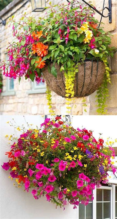 How To Plant a Winter Hanging Basket | Hanging plants outdoor, Hanging ...