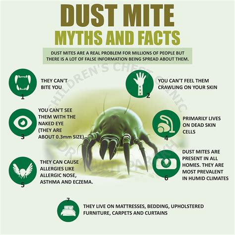 Do Carpets Have Dust Mites | www.cintronbeveragegroup.com