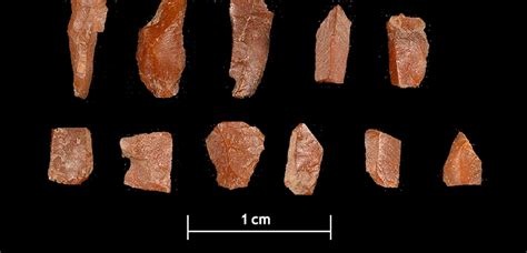 Haul of hundreds of hunter gatherer tools sheds light on Scotland's ...