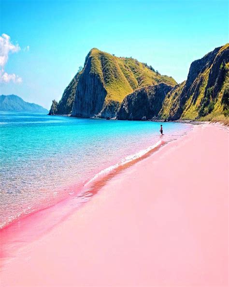 Pink beach explore komodo – Artofit