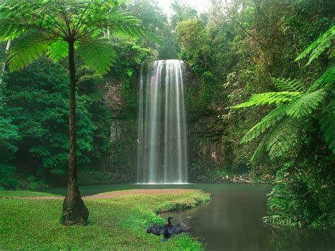 Atherton Tablelands, Tropical North Queensland Australia