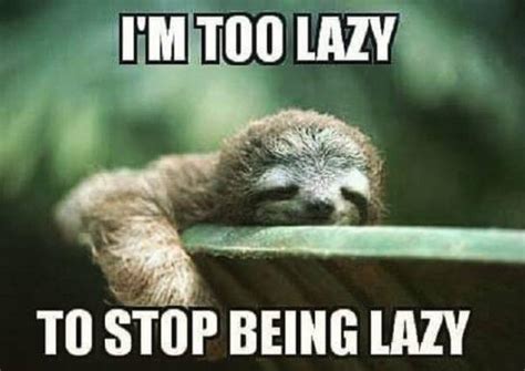 40 Best Sloth Meme - Meme Central