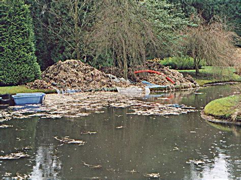 Pond maintenance. Pond repairs & renovation. Hampshire, Wiltshire, Dorset