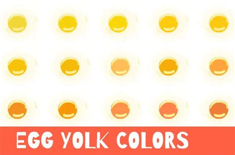 Egg Yolk Color Chart - Good and Bad Egg Yolk Colors