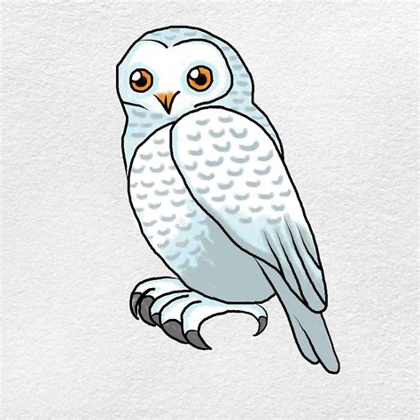 Snowy Owl Drawing - HelloArtsy