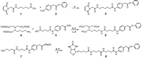 Synthesis of compounds under discussion. Reagents and conditions: (a ...