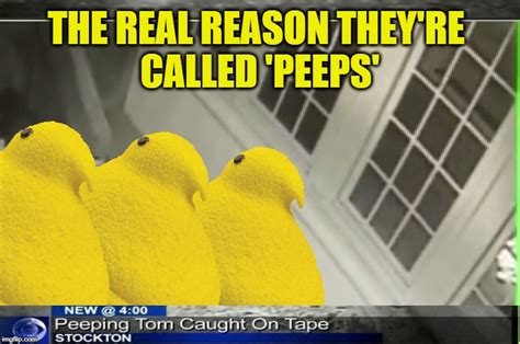 Easter Peeps Memes - momsegy