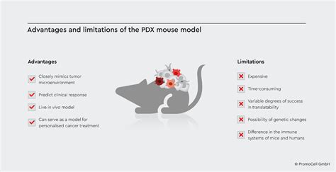 Unlocking patient-derived Xenograft (PDX) mice with cell cultures