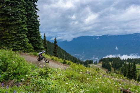 The Best Mountain Bike Trails in the World - Singletracks Mountain Bike ...