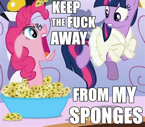 My Little Pony Memes Cute | Images and Photos finder