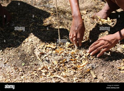 Buschmänner San people in Namibia - Volksstamm - hunting - Trap for ...