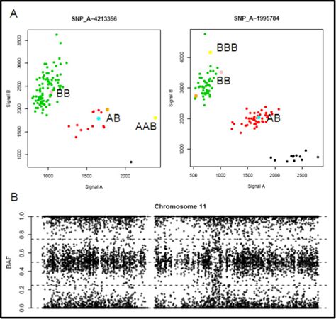 SNP array analysis of cases 7 and 8. A) SNP cluster plots of individual ...