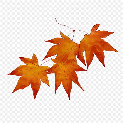 Hojas Otoño PNG, Vectores, PSD, e Clipart Para Descarga Gratuita - Pngtree