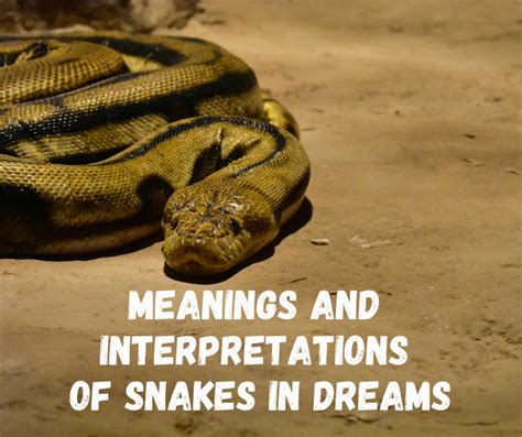 Meanings and Interpretations of Snakes in Dreams - Exemplore