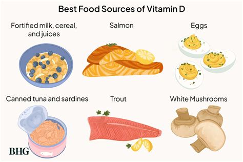 7 Foods High in Vitamin D to Add to Your Diet