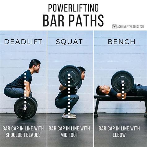 √ Deadlift Vs Squat Weight