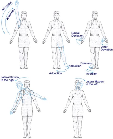 Horizontal Abduction Degrees