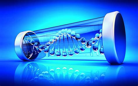 Dna Structure 3D Model