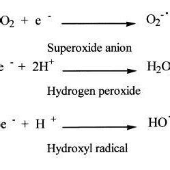 Formation of and superoxide anion, hydrogen peroxide and hydroxyl ...