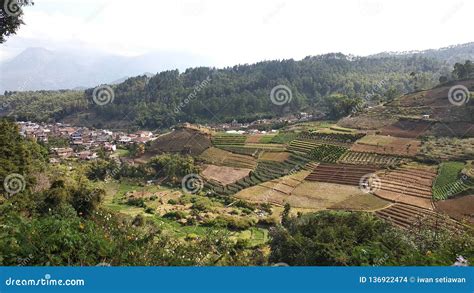 Taman Selecta Malang stock photo. Image of suciati, selecta - 136922474