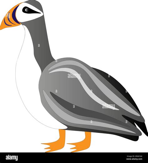 Puffin bird on a white background, children's drawing. Vector ...