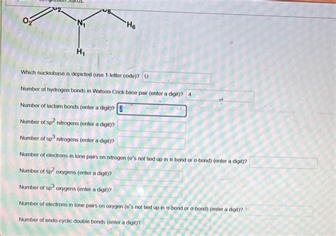 Solved The structure of a nucleobase is shown below. Which | Chegg.com