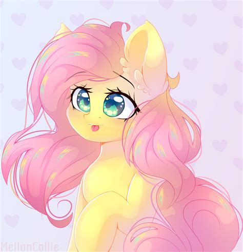 [+VIDEO] Cute Fluttershy by MellonCollie-chan on DeviantArt