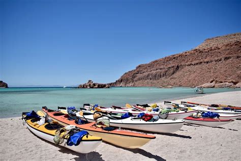 Top 10 Tours You Should Experience in Baja California