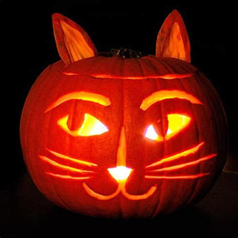 6 Cat-Themed Jack-o-Lantern Ideas for You and Your Kids - Catster