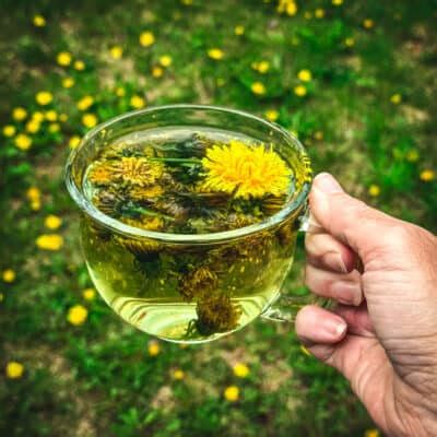 How to Make Dandelion Tea