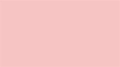 Baby Pink Solid Color Background: 1000+ Free Download Vector, Image ...