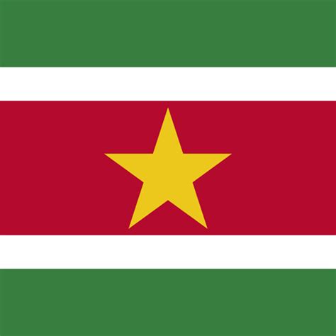 Suriname flag image - Country flags