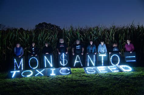 Monsanto GMO Seeds Dominate Market - Cornucopia Institute