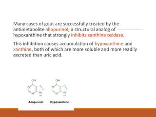 purine metabolism.ppt