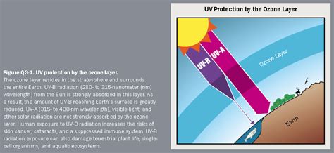 Health and Environmental Effects of Ozone Layer Depletion | Ozone Layer ...