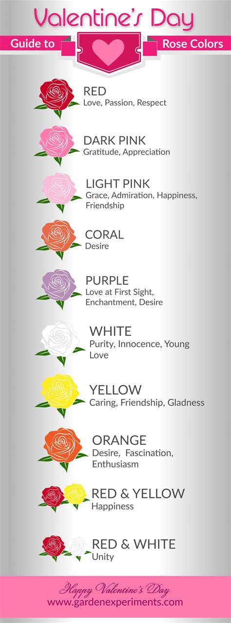 The Meaning of Rose Colors: A Valentine's Day Guide