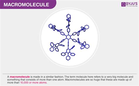 Macromolecules -Types and Examples of Macromolecules