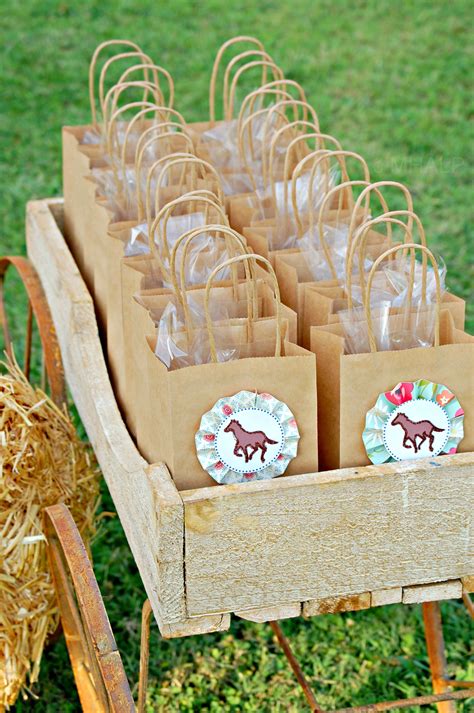 The Vintage Horse Show Collection | Horse birthday parties, Horse party ...