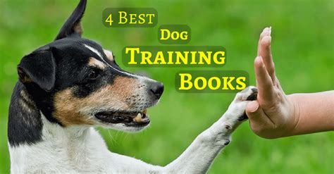 The Best Dog Training Books 2018 [You Must Read!]