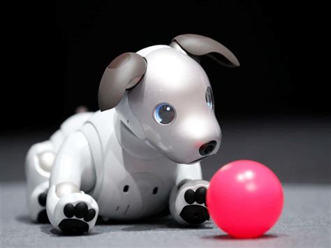 Sony Aibo Robot Dog Price Archives - Pros Cons Guide