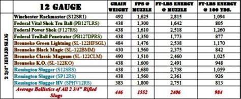 Shotgun Slugs: 20 Gauge vs. 12 Gauge - Part 2