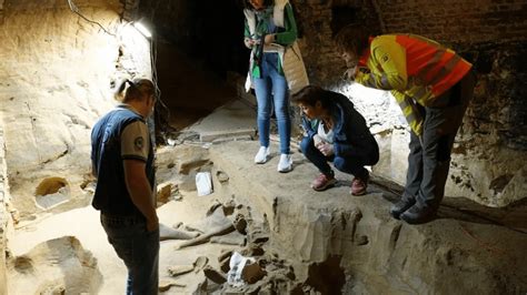 Hundreds of Mammoth Bones Discovered in Austrian Wine Cellar - Tomorrow ...