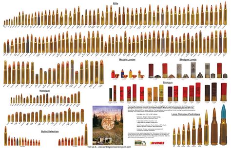 Ammo and Gun Collector: Complete List of all Calibers of Ammo Ever Made