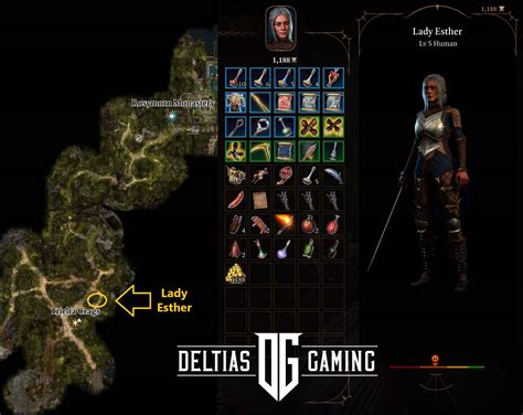 How to Get The Graceful Cloth in Baldur’s Gate 3 - Deltia's Gaming