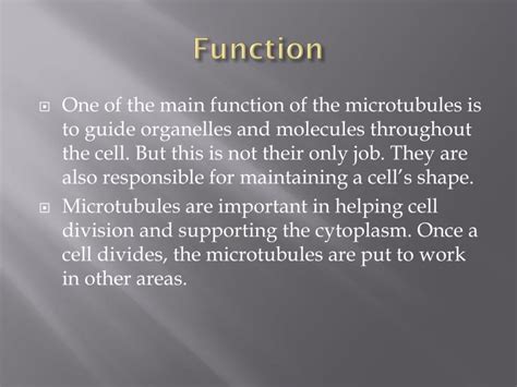 PPT - MicrotubUles PowerPoint Presentation - ID:2854507