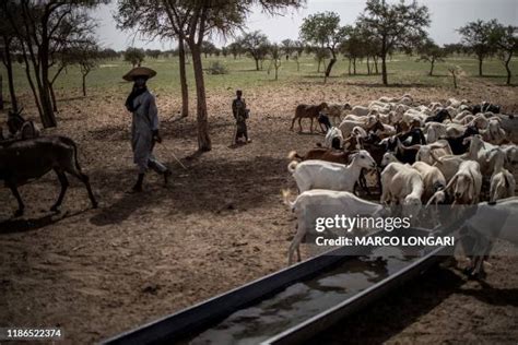 Fulani Herdsmen Photos and Premium High Res Pictures - Getty Images