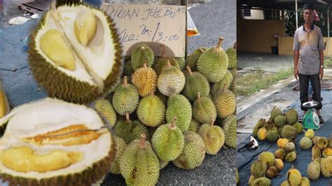 Street food In Malaysia | Durian Fruit Cutting | Durian Fruit Eating ...