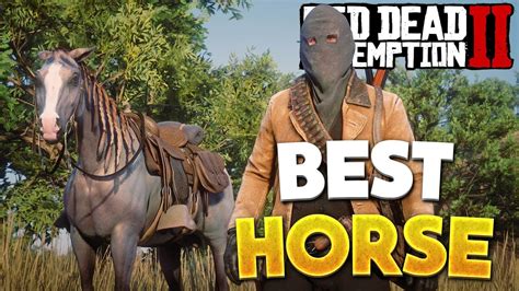 Red Dead Redemption 2 Best Horse! How To Get Arabian Rose Grey Bay ...